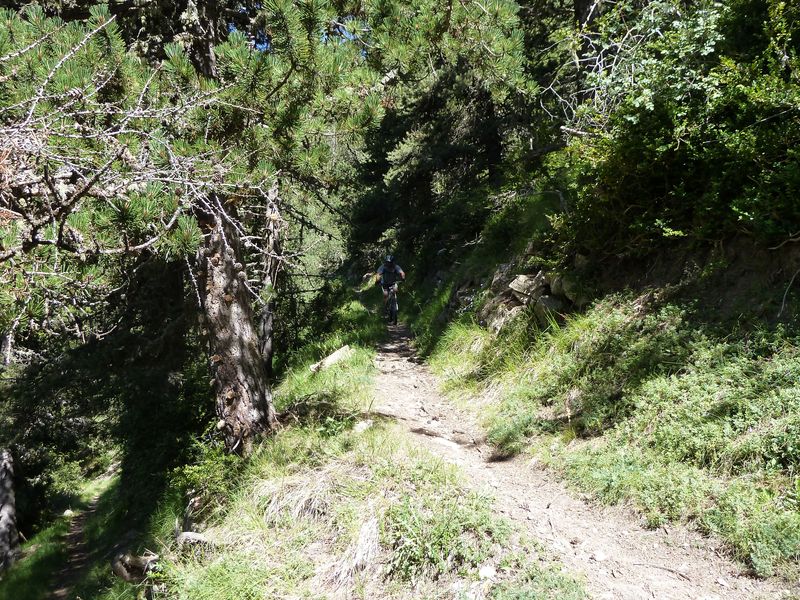 cabane_autapie_2011_055.jpg