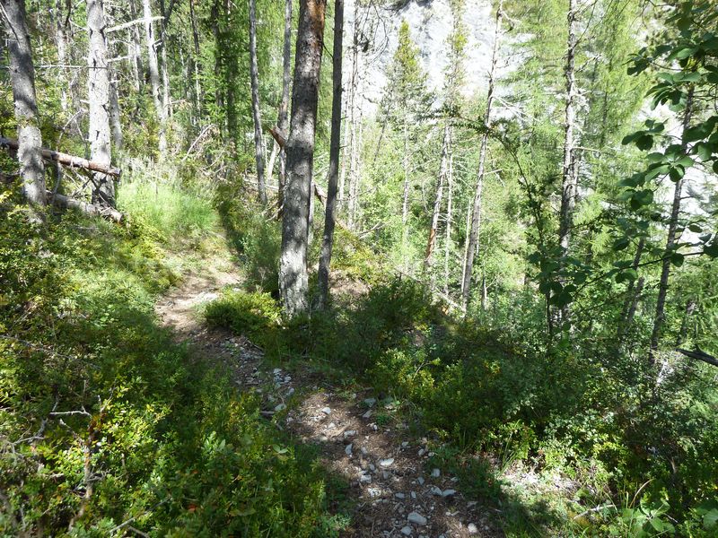 cabane_autapie_2011_075.jpg