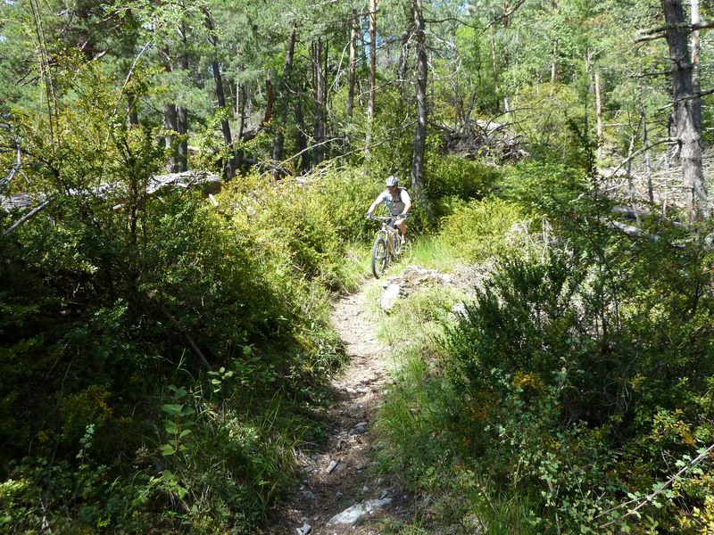 cabane_autapie_2011_077.jpg