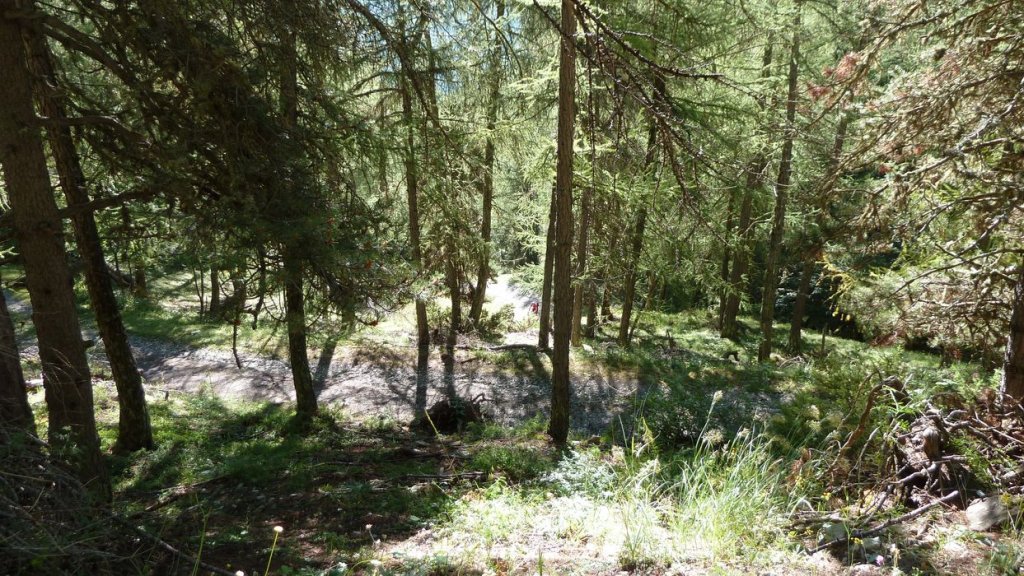 cabane_autapie_2013_012.jpg