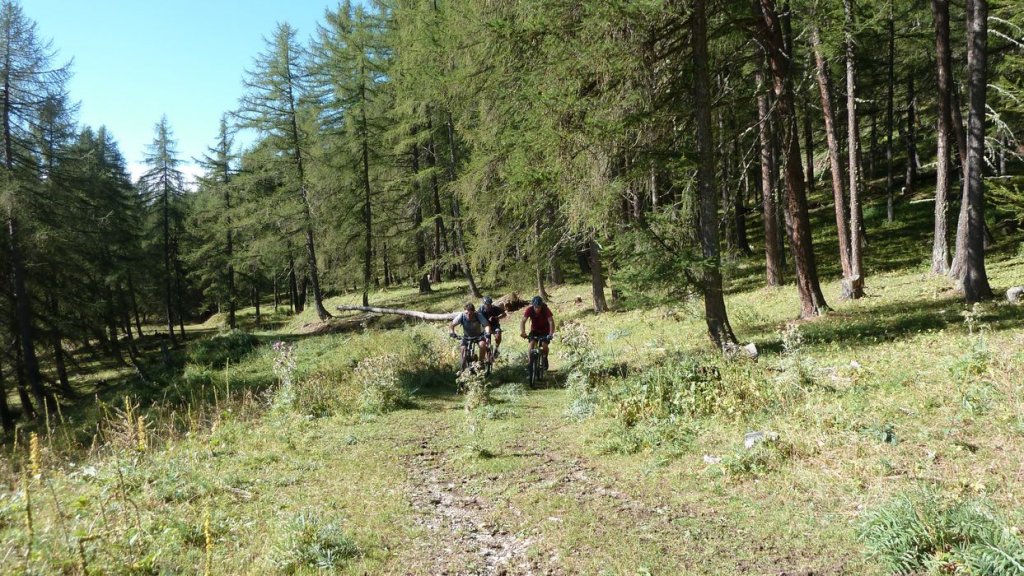 cabane_autapie_2013_022.jpg