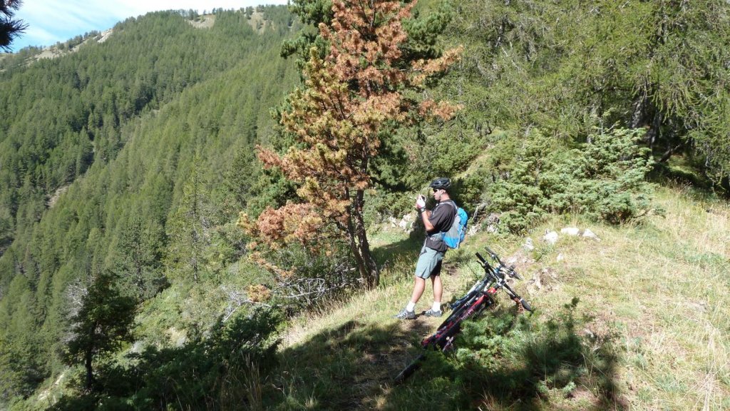 cabane_autapie_2013_038.jpg