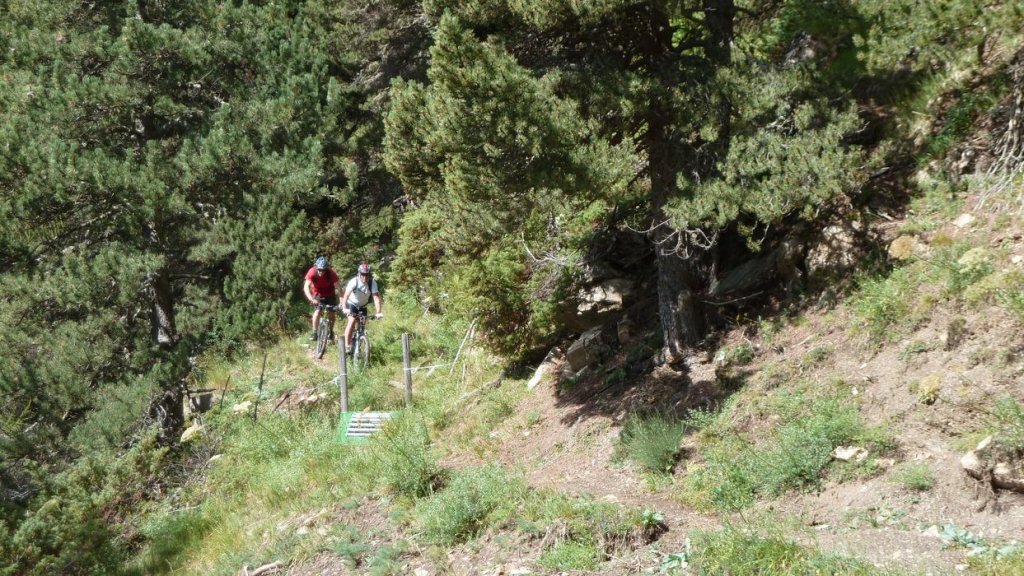 cabane_autapie_2013_050.jpg