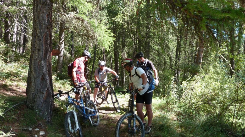 cabane_autapie_2013_070.jpg