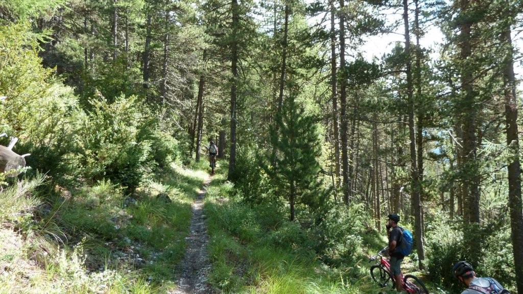 cabane_autapie_2013_074.jpg