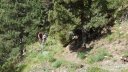 cabane_autapie_2013_050.jpg