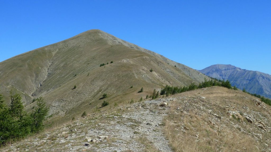cabane_autapie_aout_2016_119.JPG