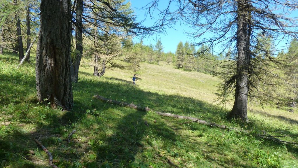 cabane_autapie_aout_2016_123.JPG