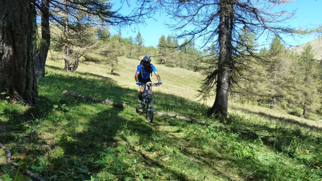 cabane_autapie_aout_2016_125.JPG