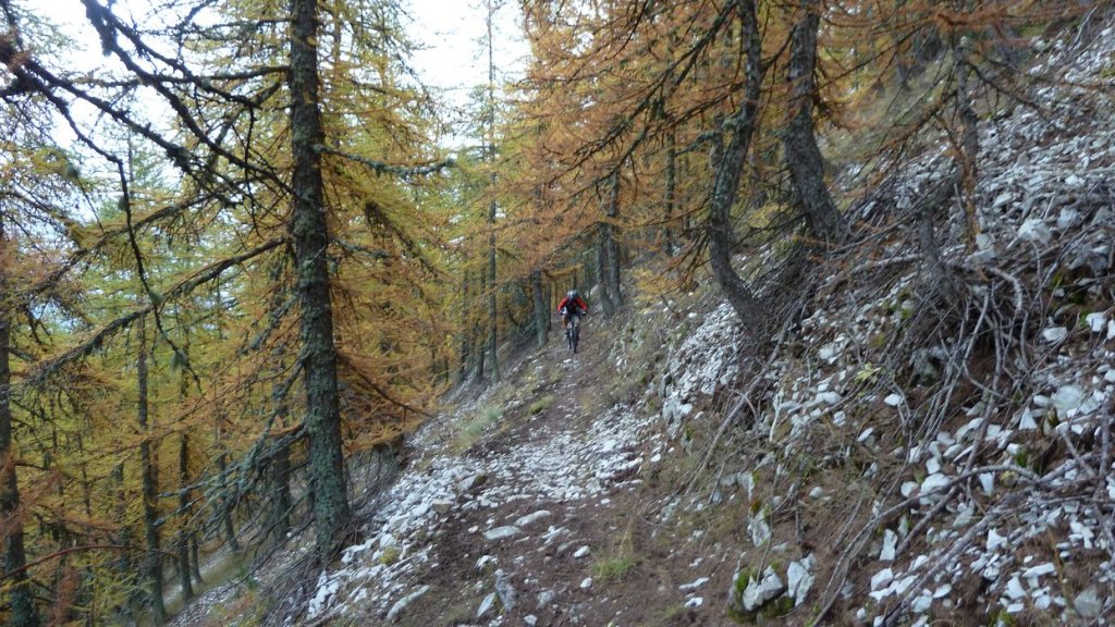 cab_cheval_blanc_oct_2013_044.jpg