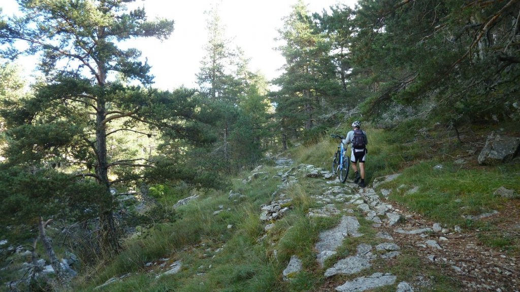 cabane_mont_aout_2015_073.JPG
