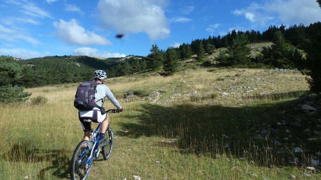 cabane_mont_aout_2015_081.JPG