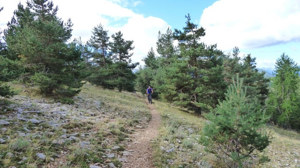 cabane_mont_aout_2015_085.JPG