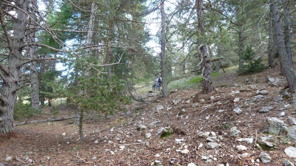 cabane_mont_aout_2015_091.JPG