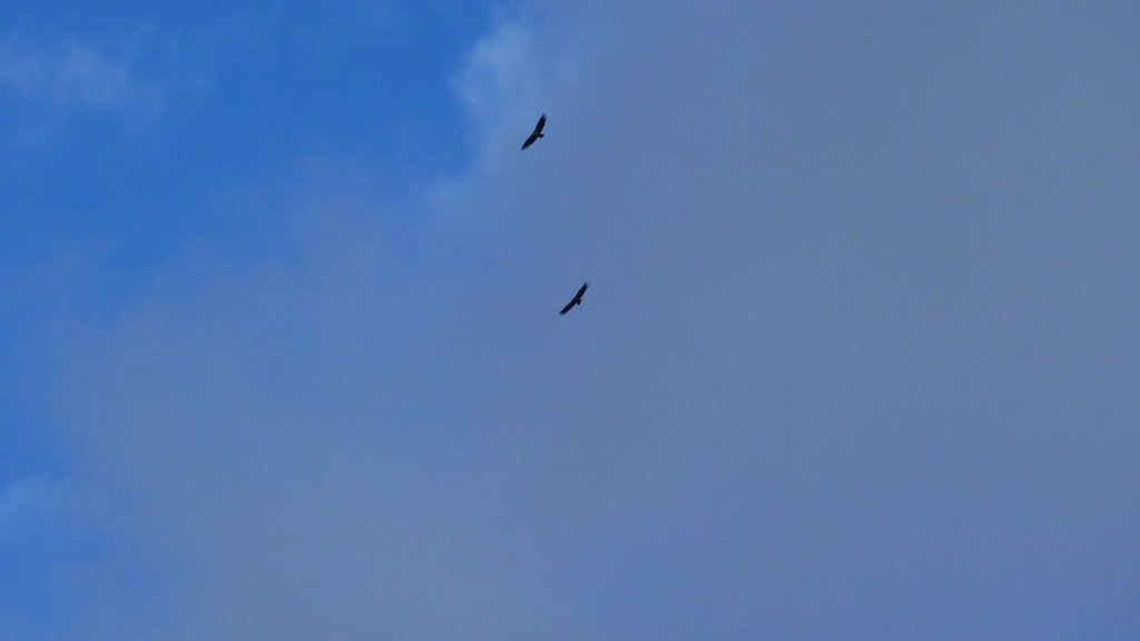 cabane_mont_aout_2015_139.JPG