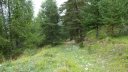 cabane_mont_aout_2015_193.JPG