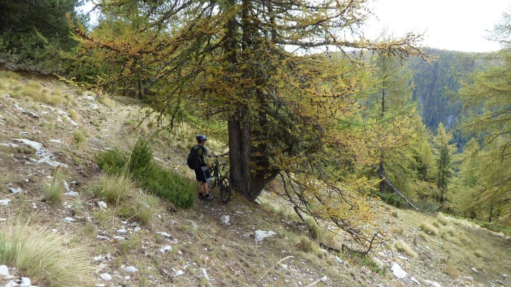 pasquier_oct_2013_032.jpg