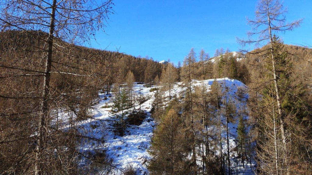 P1160710.JPG