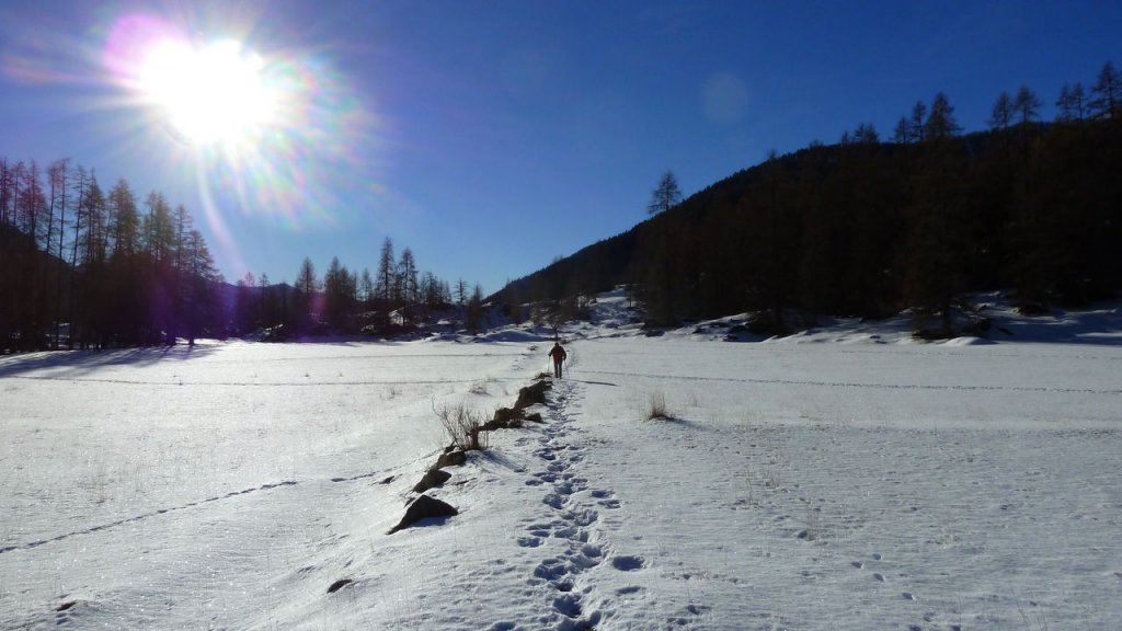 P1160730.JPG