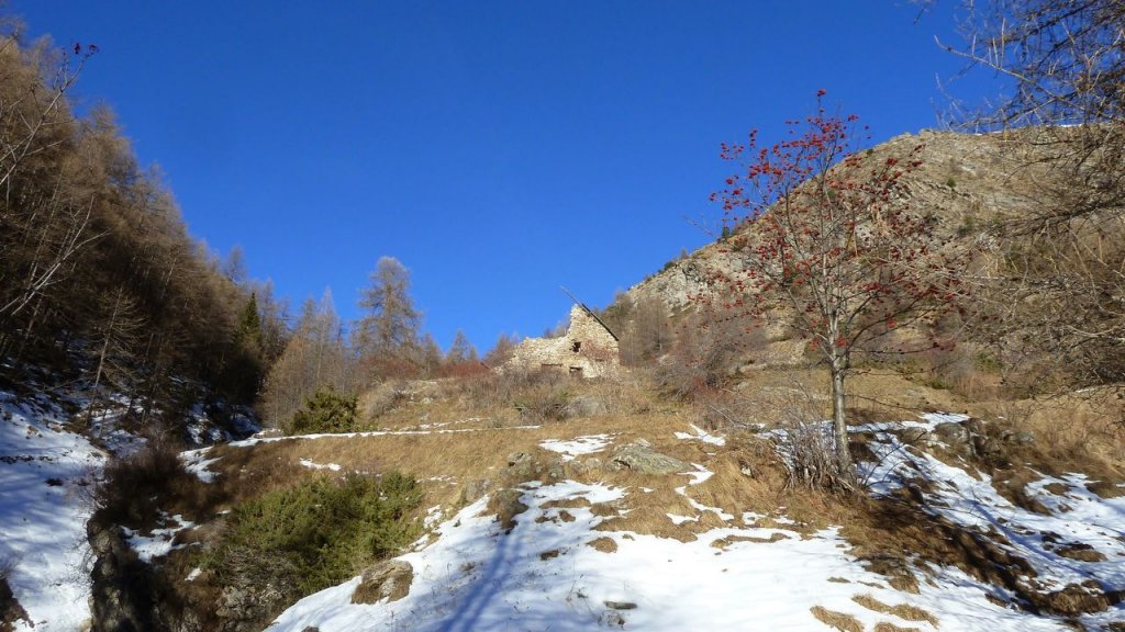 P1160741.JPG