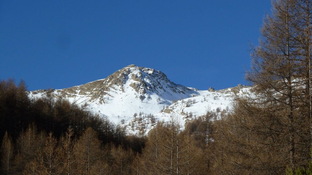 P1160753.JPG