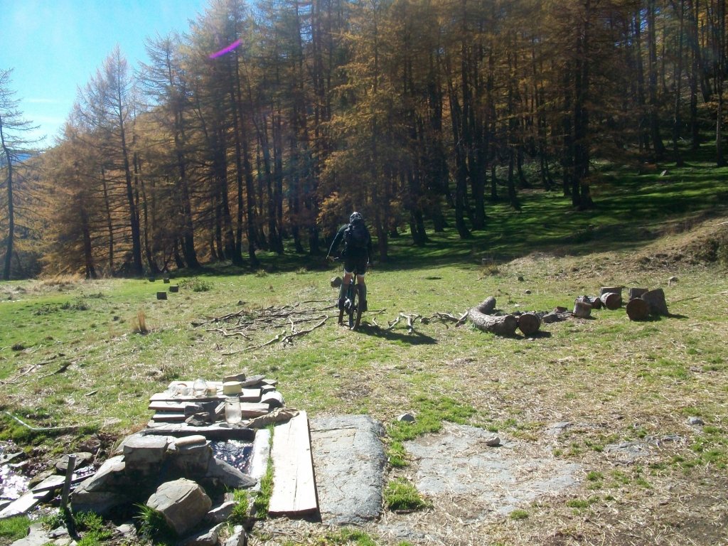 100_7116.JPG