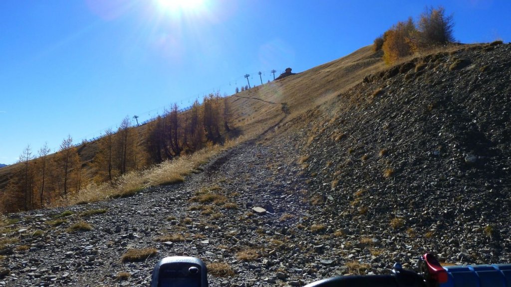 P1100684.JPG