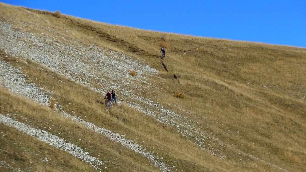 P1100716.JPG