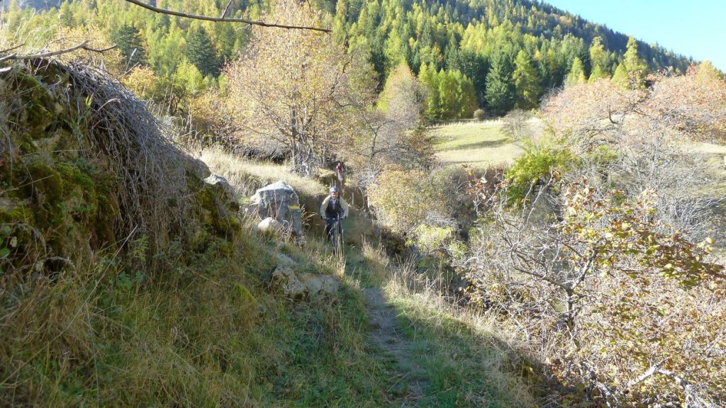P1100773.JPG