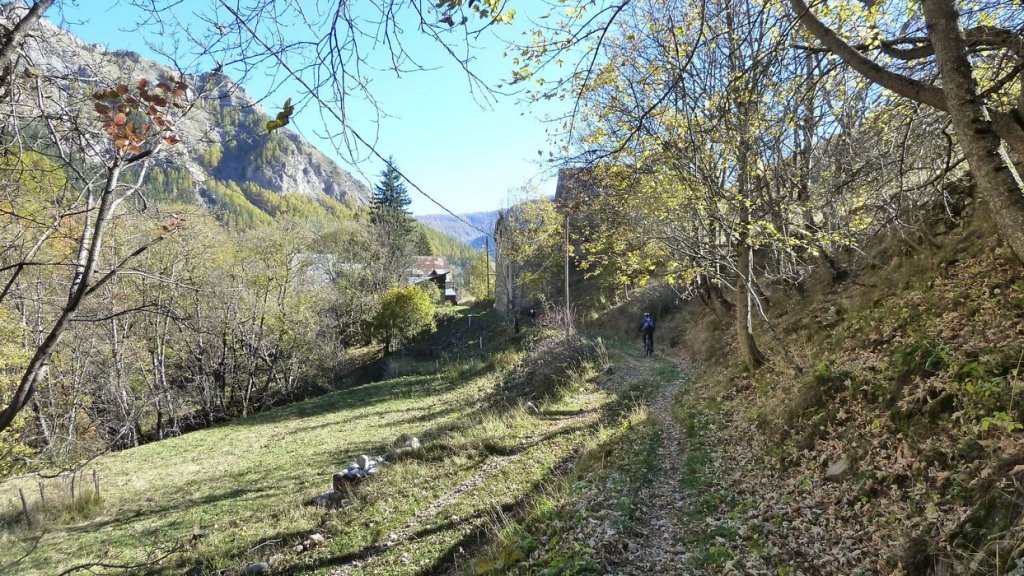 P1100775.JPG