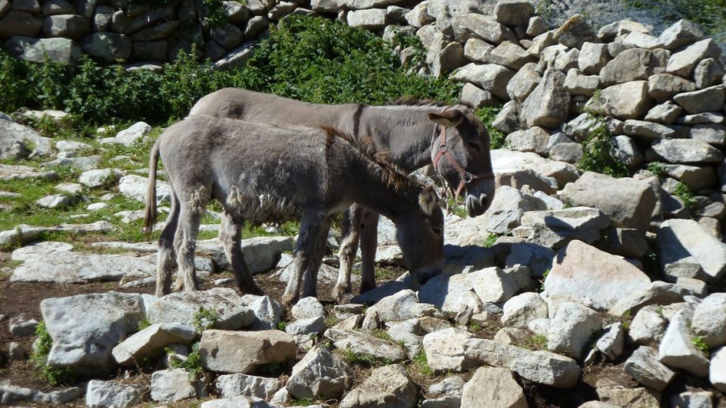 cabane_sallanches_2013_170.jpg