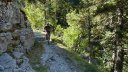 cabanes__de_congerman_aout_2012_132.jpg