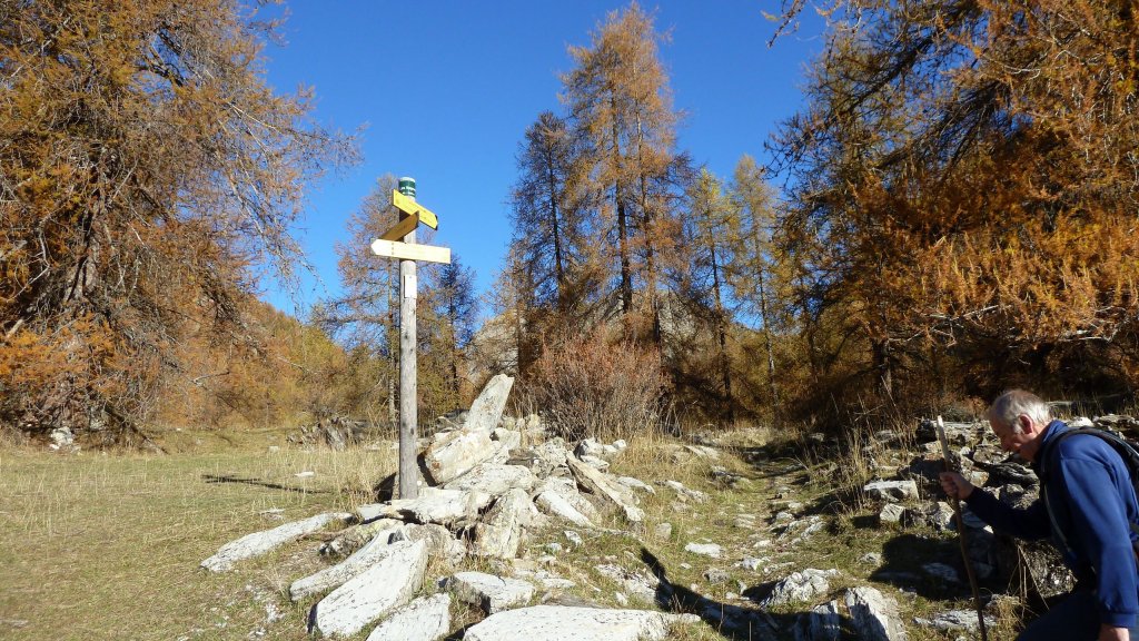 P1160500.JPG