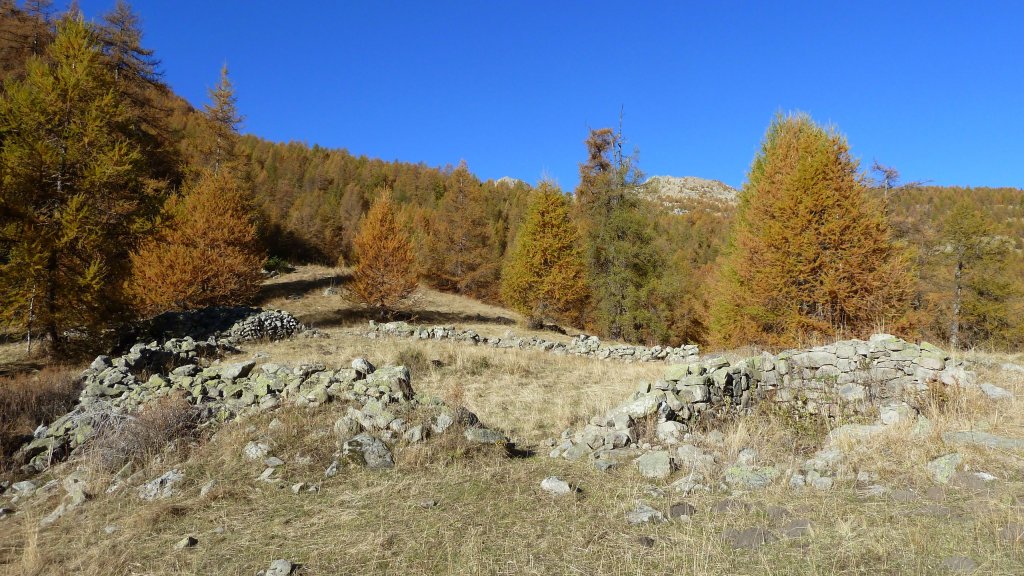 P1160512.JPG