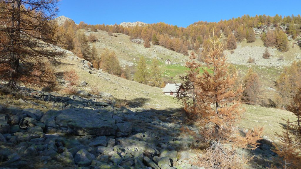 P1160514.JPG