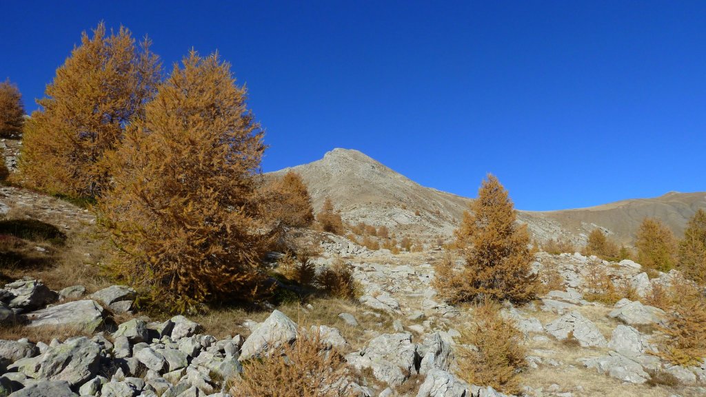 P1160536.JPG