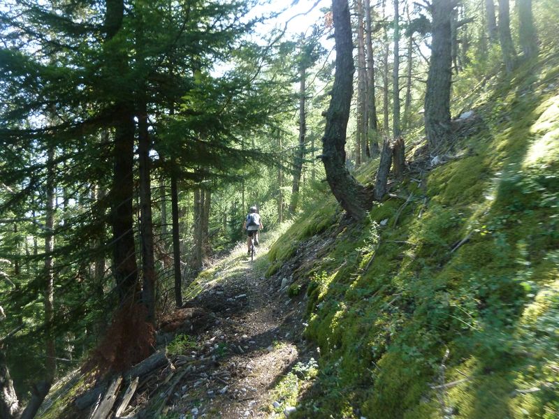 cordoeil_camping_2011_008.jpg