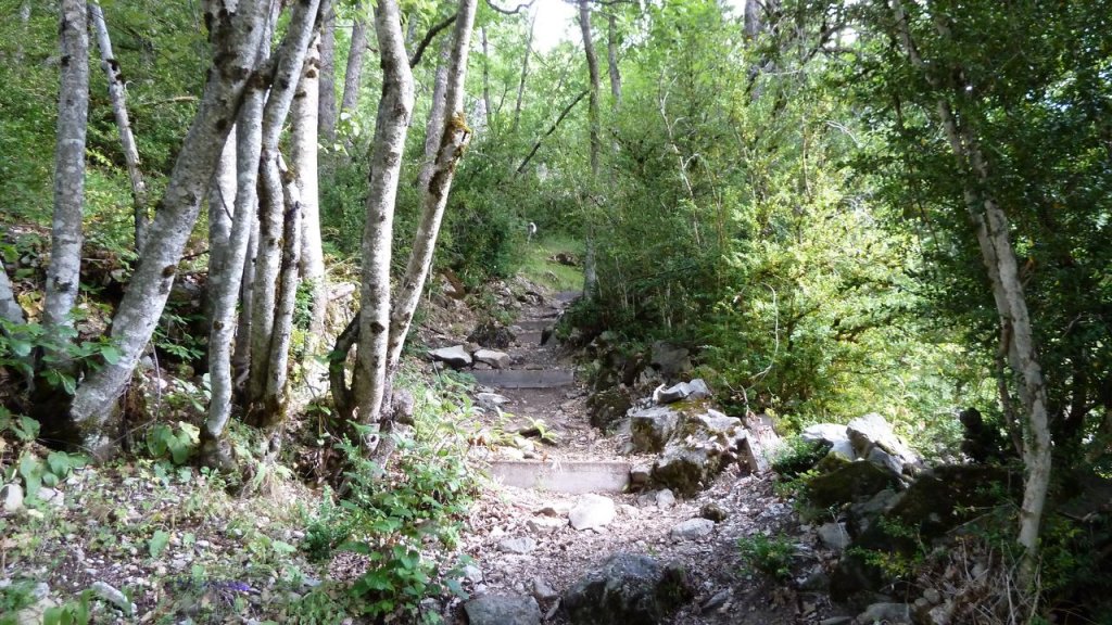 canal_adroit_aout_2016_007.JPG