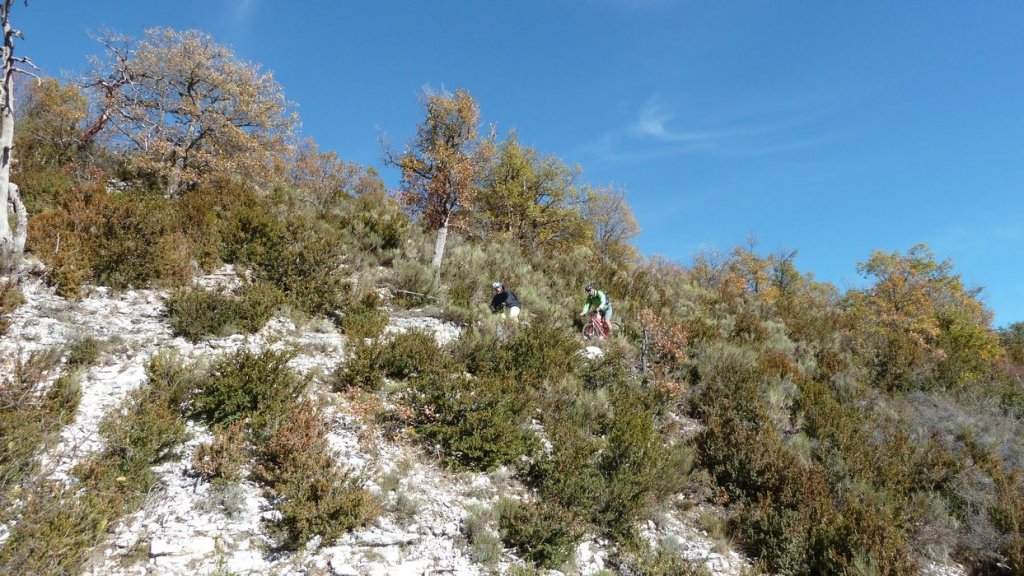 P1080446.JPG