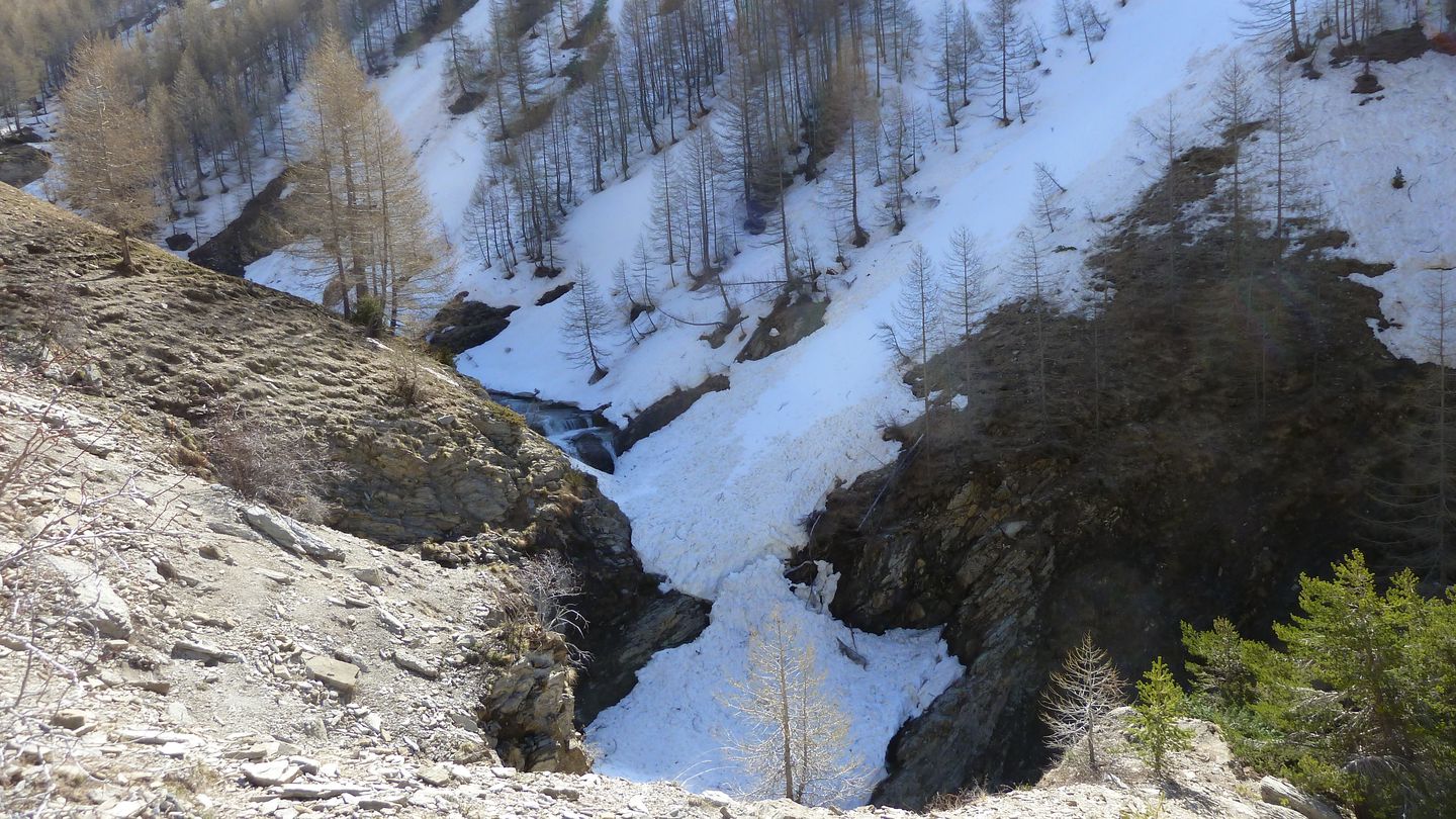 P1050428.JPG