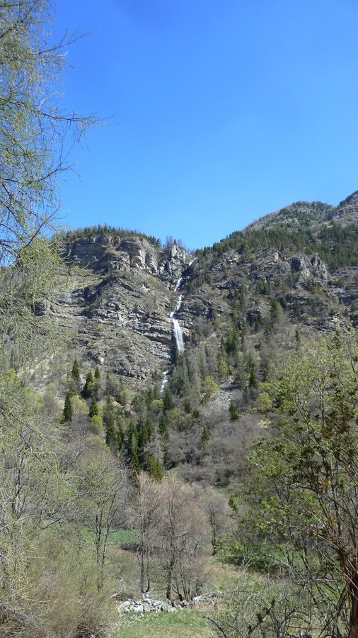 P1050443.JPG
