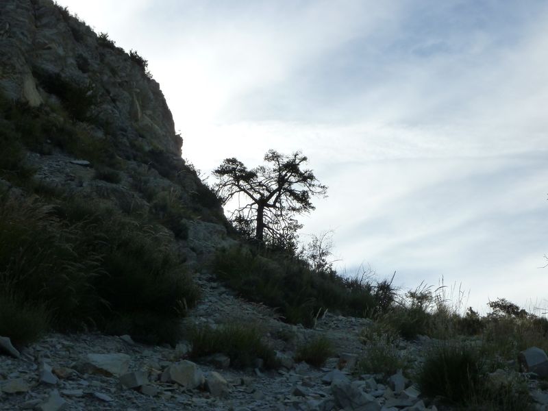 cheinet_2011_015.jpg