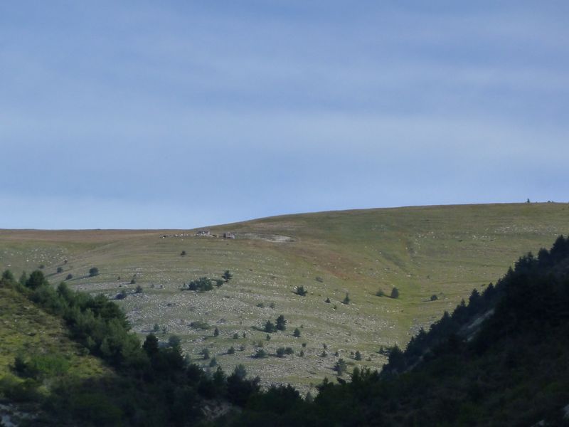 cheinet_2011_019.jpg