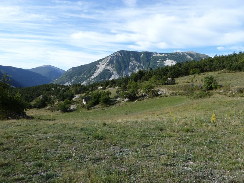 cheinet_2011_033.jpg