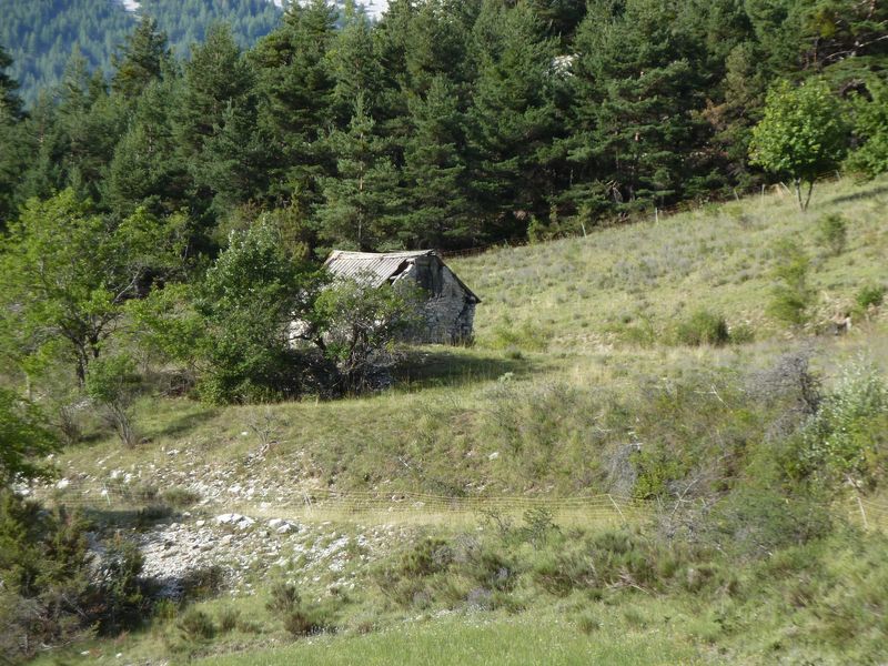 cheinet_2011_037.jpg