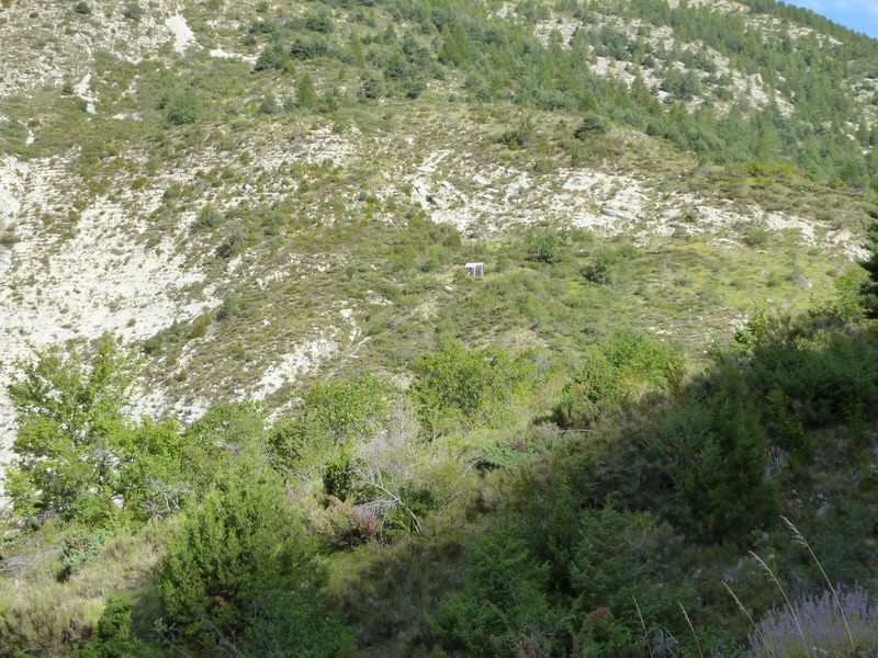 cheinet_2011_045.jpg