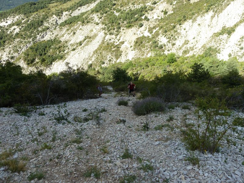 cheinet_2011_049.jpg