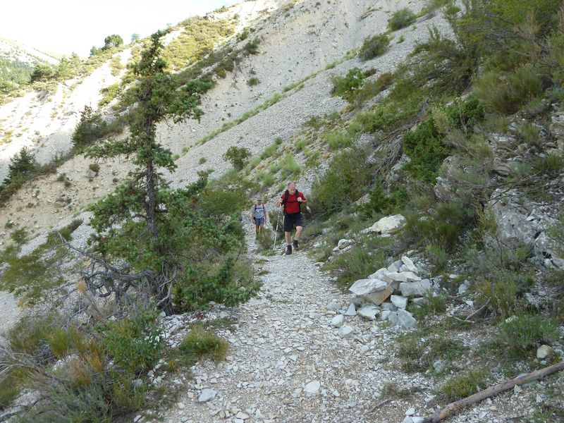 cheinet_2011_053.jpg