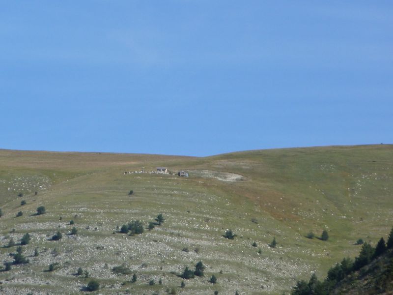 cheinet_2011_057.jpg