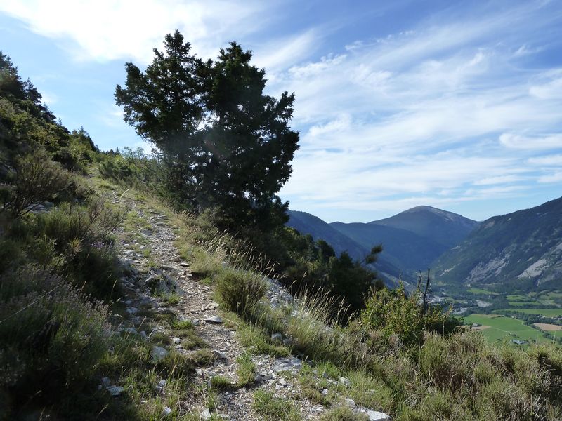 cheinet_2011_063.jpg